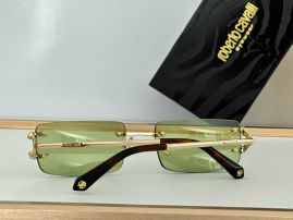 Picture of Roberto Cavalli Sunglasses _SKUfw55481885fw